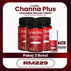 [5504] CNA+ 3 + LSYN CNA+ 1